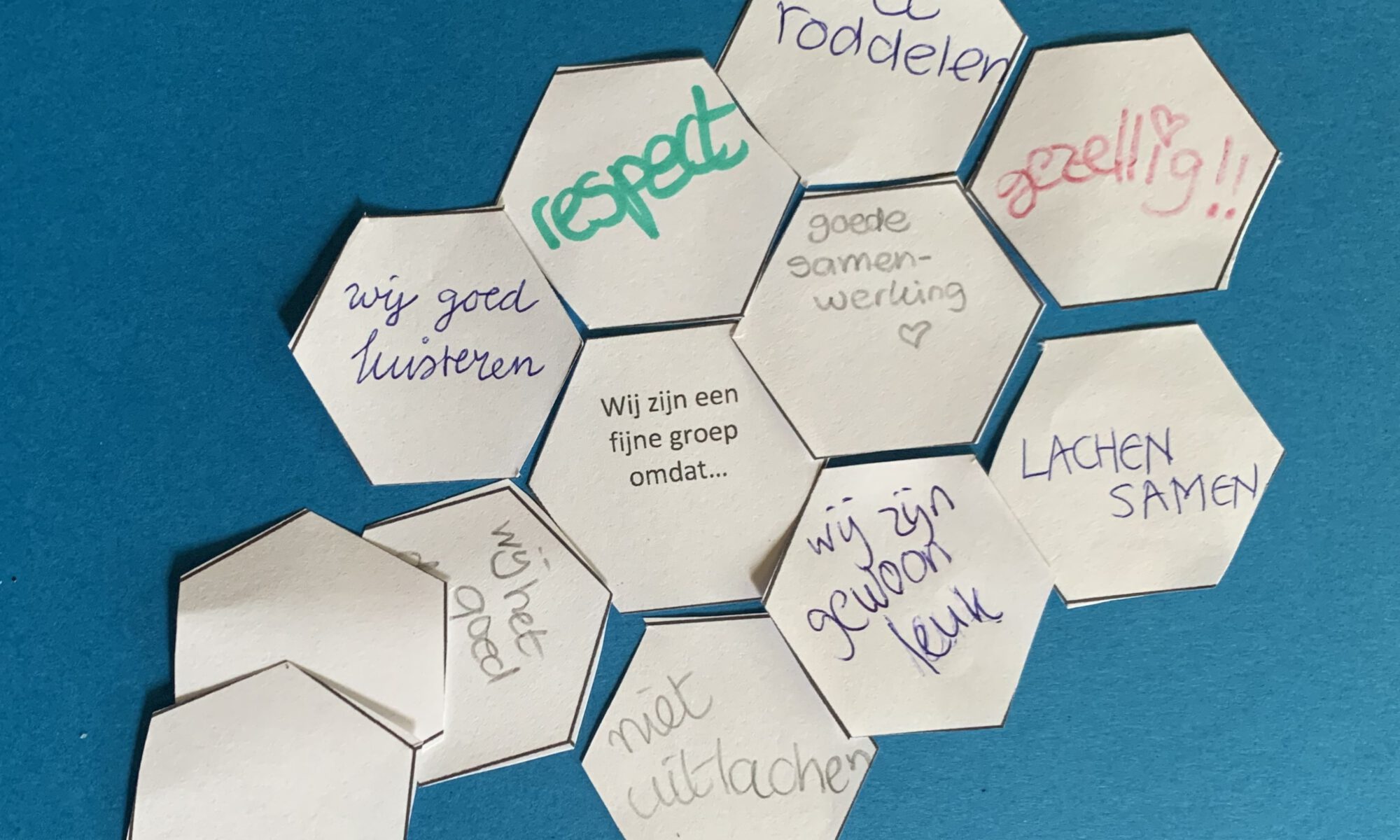 foto ingevuld hexagoon